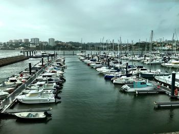 Boats in harbor