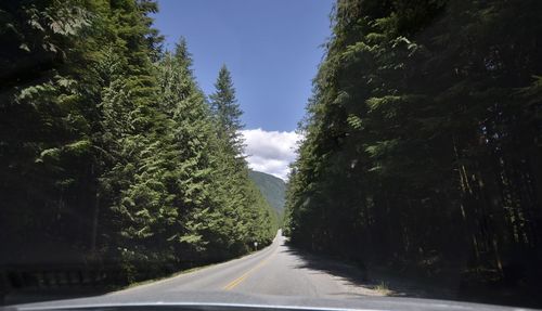 Empty road amidst trees against sky