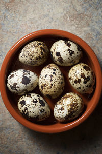 Close-up of some quail eggs.