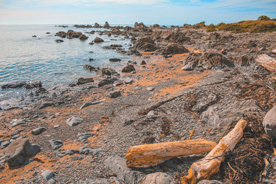 Rocks on beach against sky