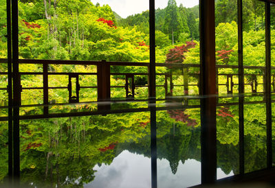 Reflection of trees on lake seen through glass window