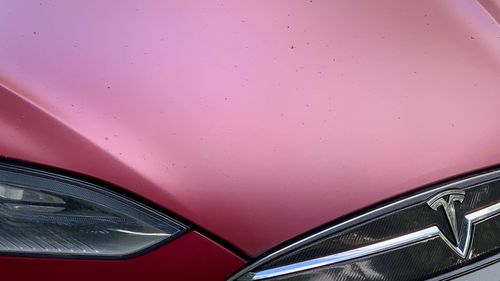 Close-up of pink car window