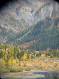 Scenic view of landscape