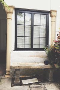 Close-up of potted plant on window