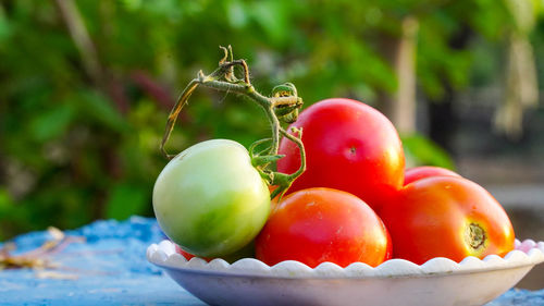 Close-up of fruits in bowl on table
