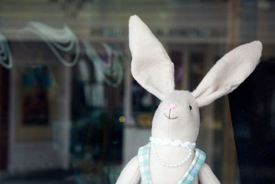 rabbit