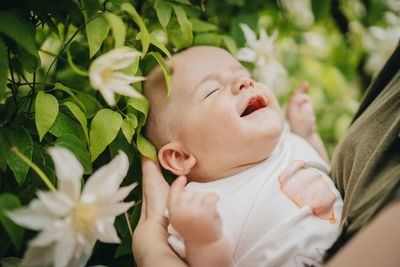 Midsection of mother holding cute baby boy by plants