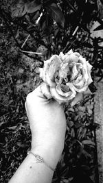 Close-up of hand holding ice cream