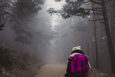 Rear view of female hiker on footpath amidst trees in forest