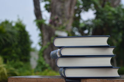 Books placed on the wooden table