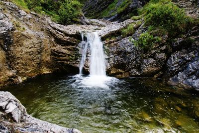 View of waterfall in forest