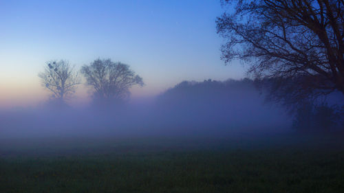 Silhouette trees on landscape against clear sky