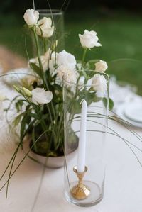 Close-up of white flowers