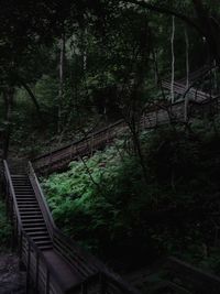 Footbridge in forest