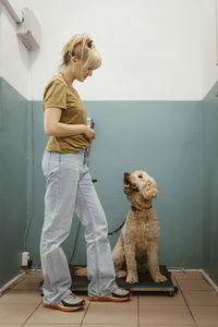 Woman looking at dog sitting on weight scale at vet