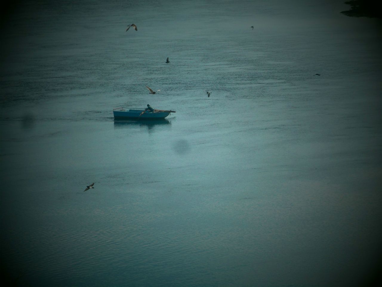 water, waterfront, nautical vessel, sea, boat, tranquility, bird, transportation, nature, tranquil scene, rippled, mode of transport, high angle view, beauty in nature, lake, scenics, reflection, outdoors, auto post production filter, animal themes