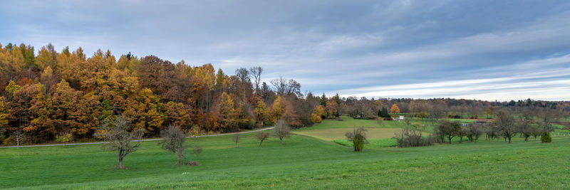 Trees on field against sky