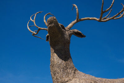 Low angle view of dead tree against blue sky