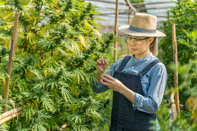 Young female cannabis farmer quality checking on her cannabis plants at her controlled greenhouse