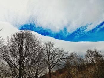 Low angle view of bare trees against sky