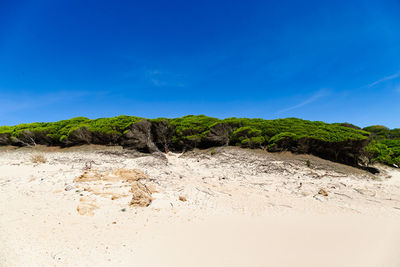 Scenic view of desert against clear blue sky