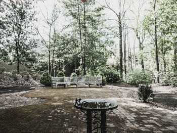 Empty bench in park