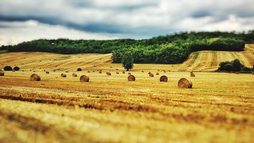 Hay bales on field against sky