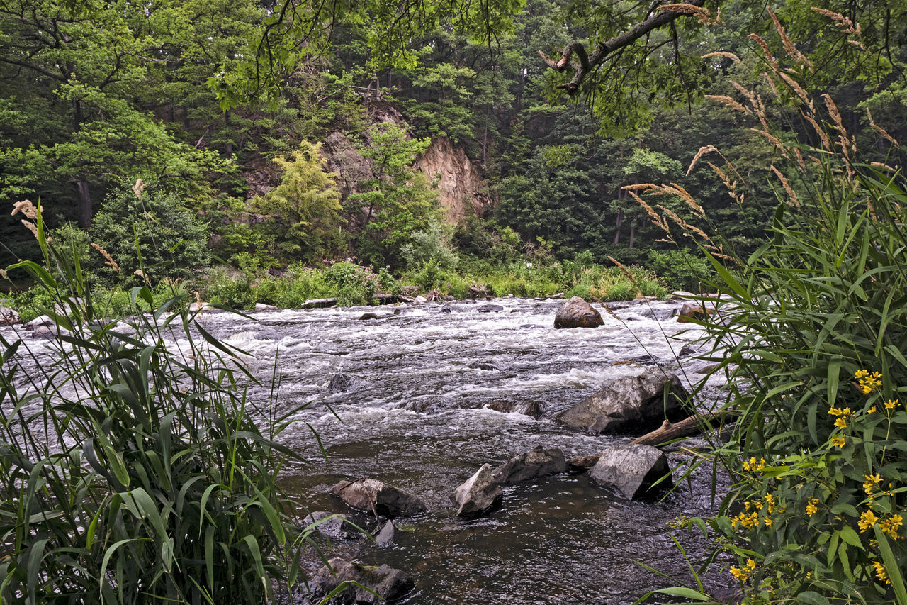 SCENIC VIEW OF STREAM FLOWING THROUGH ROCKS