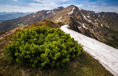 Scenic view of snowcapped mountains against sky in rodnei mountains 