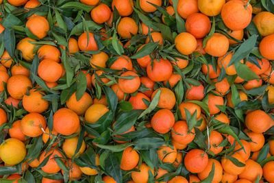 Full frame shot of orange fruits in market