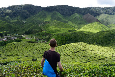 Rear view of young man working in farm