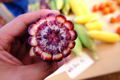 Close-up of hand holding fruit