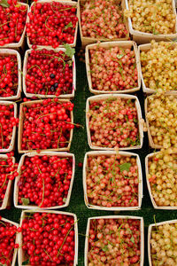 High angle view of cherries for sale at market