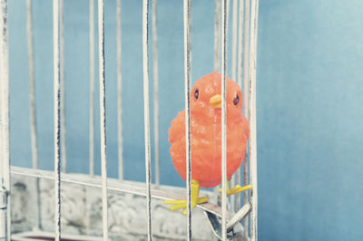 Close-up of plastic bird in cage