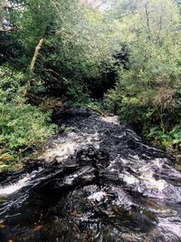 Full frame shot of water