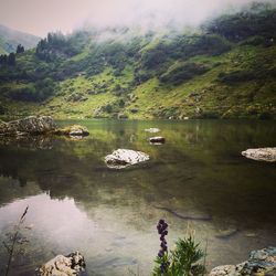 Scenic view of lake in forest against sky