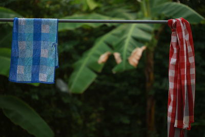 Close-up of clothes drying on clothesline