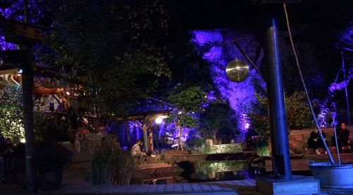 Illuminated lanterns hanging on trees at night