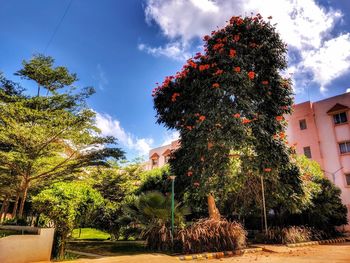 Low angle view of trees by building against sky