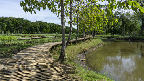 Scenic view of lake by trees against sky