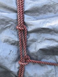 Close-up of rope tied on metal