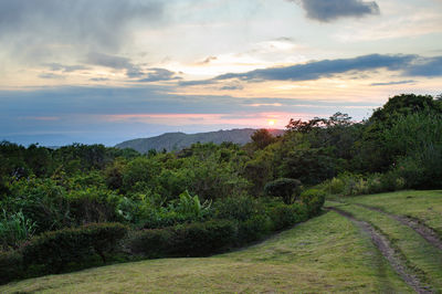 Scenic view of landscape against sky during sunset