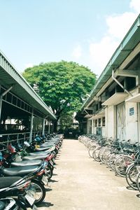 Cars parked in front of building