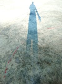 High angle view of person standing on road