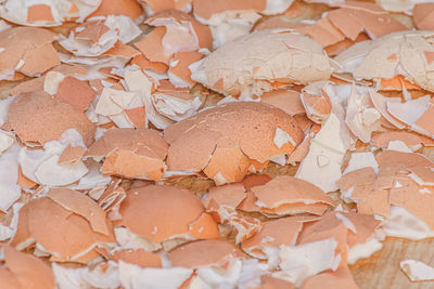 A lot of broken eggshells leftovers of boiled eggs