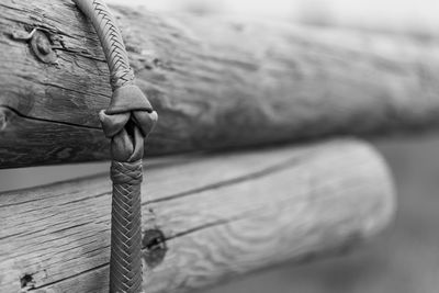 Alberta cowboys, western lifestyle.  black-and-white close-up of whip on fence.