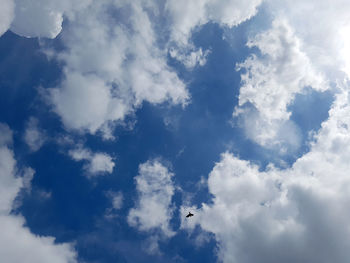 Low angle view of birds flying in sky