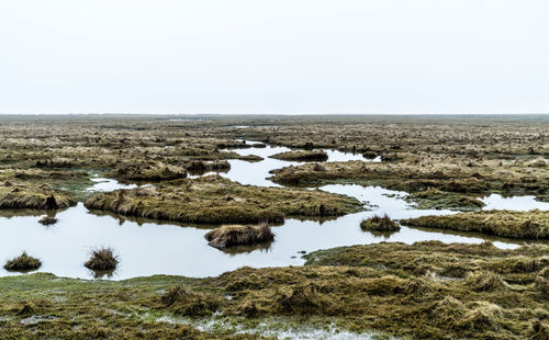 Scenic view of landscape against clear sky