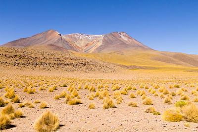 Scenic view of desert against clear blue sky