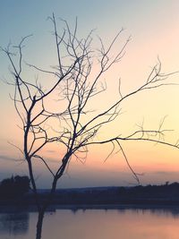 Silhouette bare tree by lake against sky during sunset